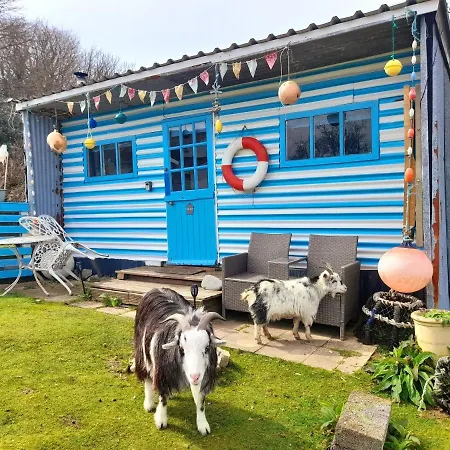 Treguth Glamping Unique Experience - Themed Huts Hotel Saint Day Exterior photo