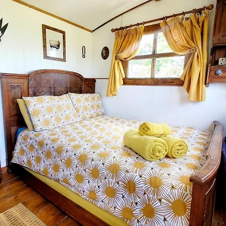 Treguth Glamping Unique Experience - Themed Huts Hotel Saint Day Exterior photo