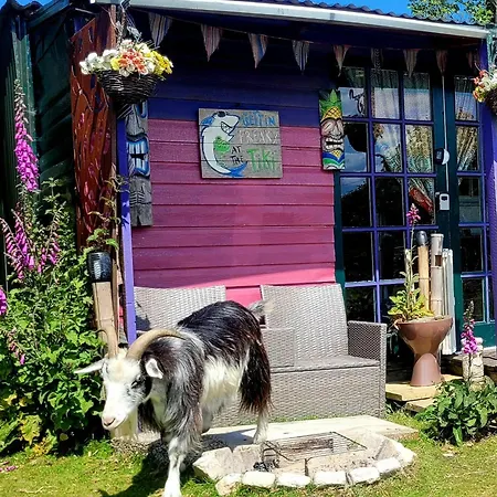 Treguth Glamping Unique Experience - Themed Huts Hotel Saint Day Exterior photo