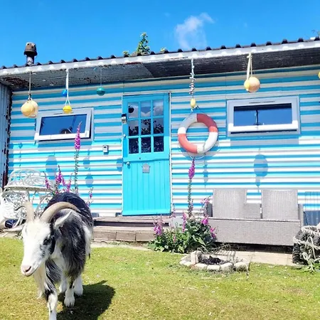 Treguth Glamping Unique Experience - Themed Huts Hotel Saint Day Exterior photo