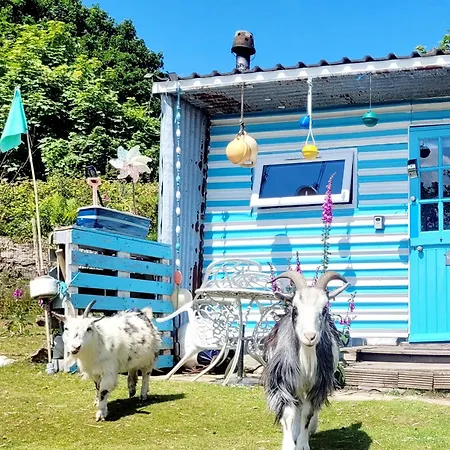 Treguth Glamping Unique Experience - Themed Huts Hotel Saint Day Exterior photo