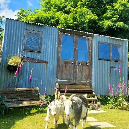 Treguth Glamping Unique Experience - Themed Huts Hotel Saint Day Exterior photo