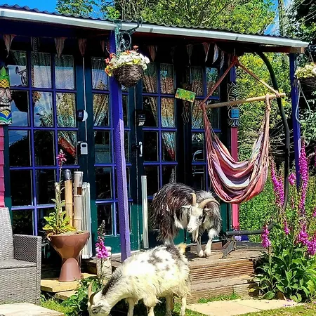 Treguth Glamping Unique Experience - Themed Huts Hotel Saint Day Exterior photo