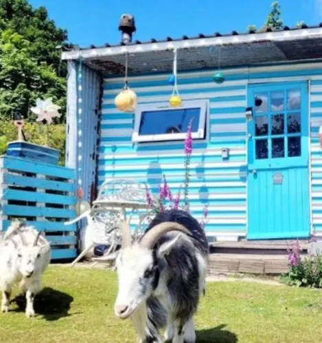 Treguth Glamping Unique Experience - Themed Huts