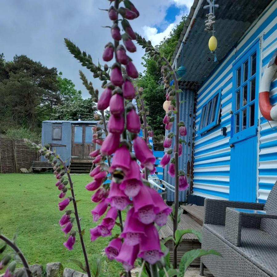 Treguth Glamping Unique Experience - Themed Huts Campsite