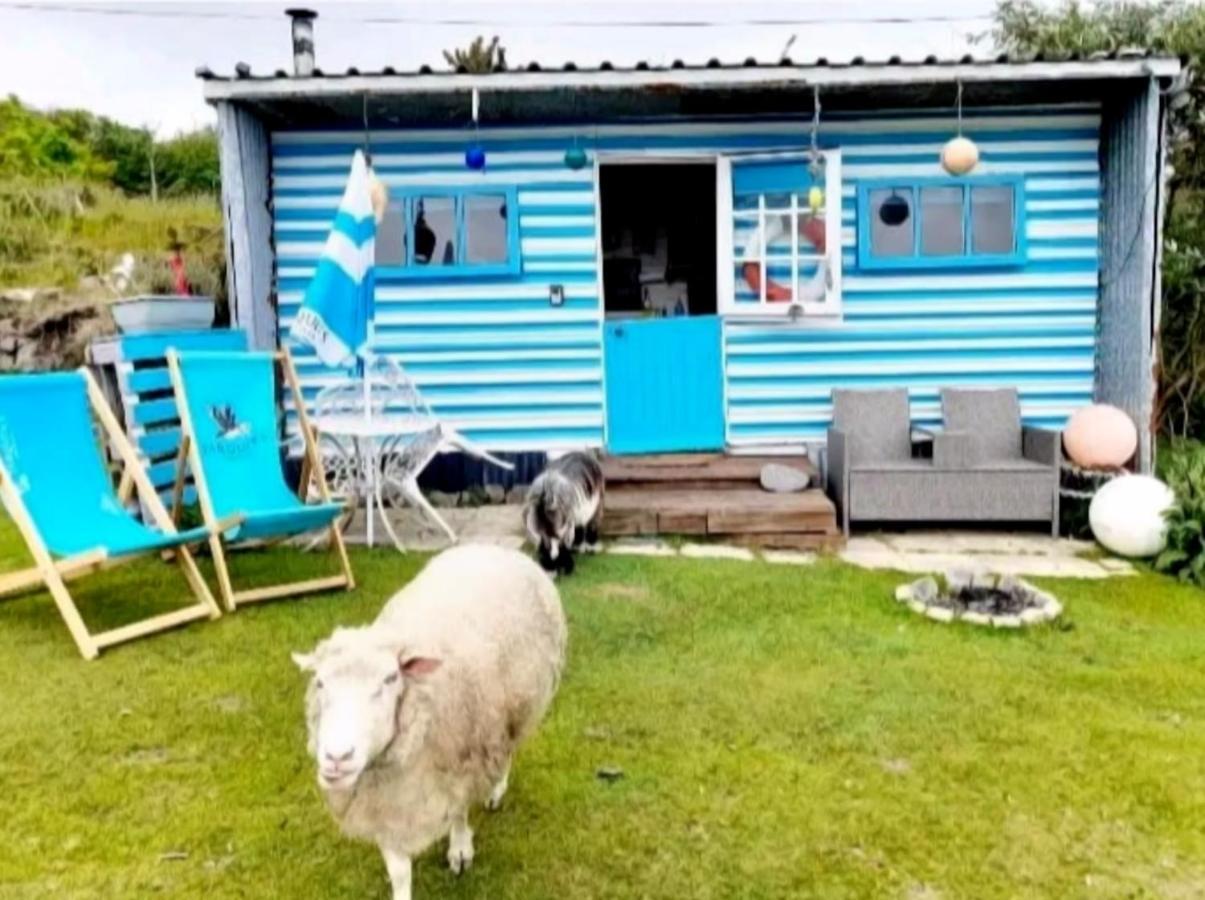 Treguth Glamping Unique Experience - Themed Huts
