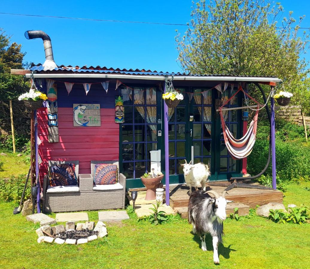 Treguth Glamping Unique Experience - Themed Huts Campsite *