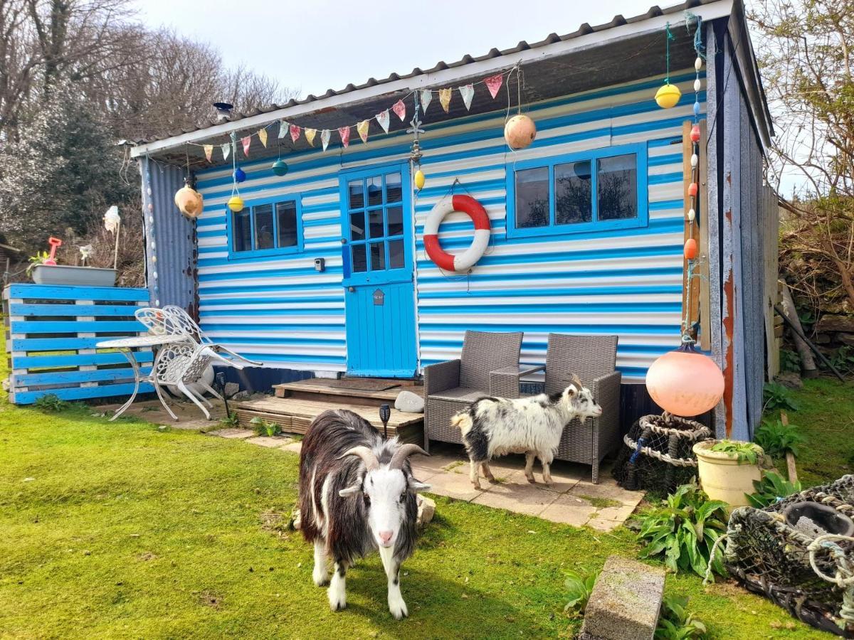 Treguth Glamping Unique Experience - Themed Huts