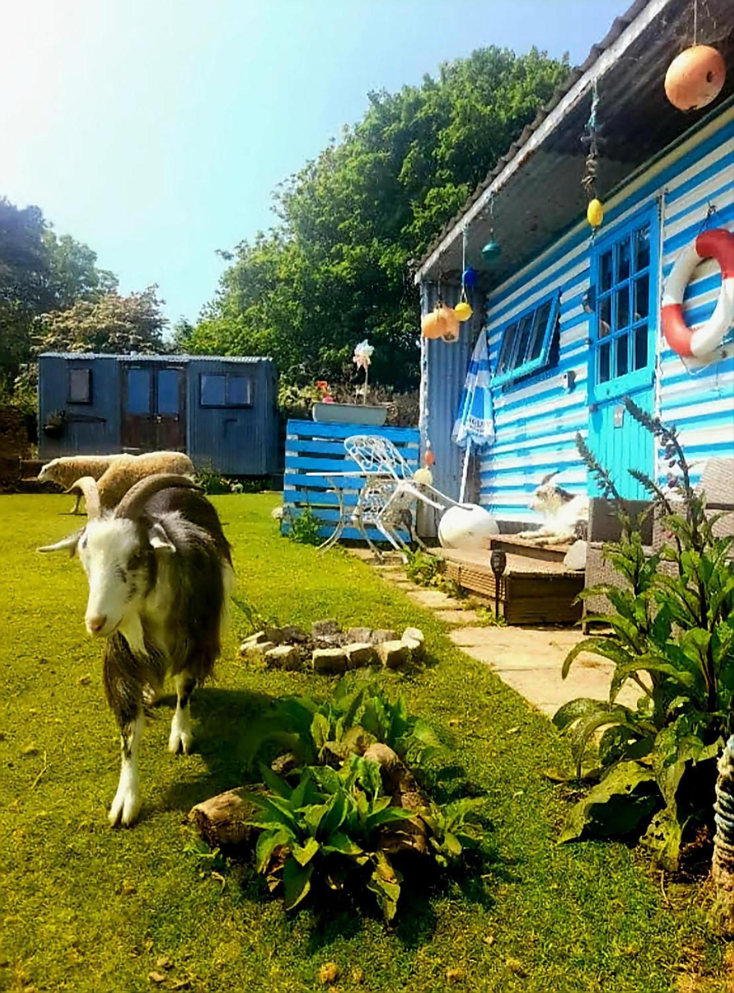 Treguth Glamping Unique Experience - Themed Huts