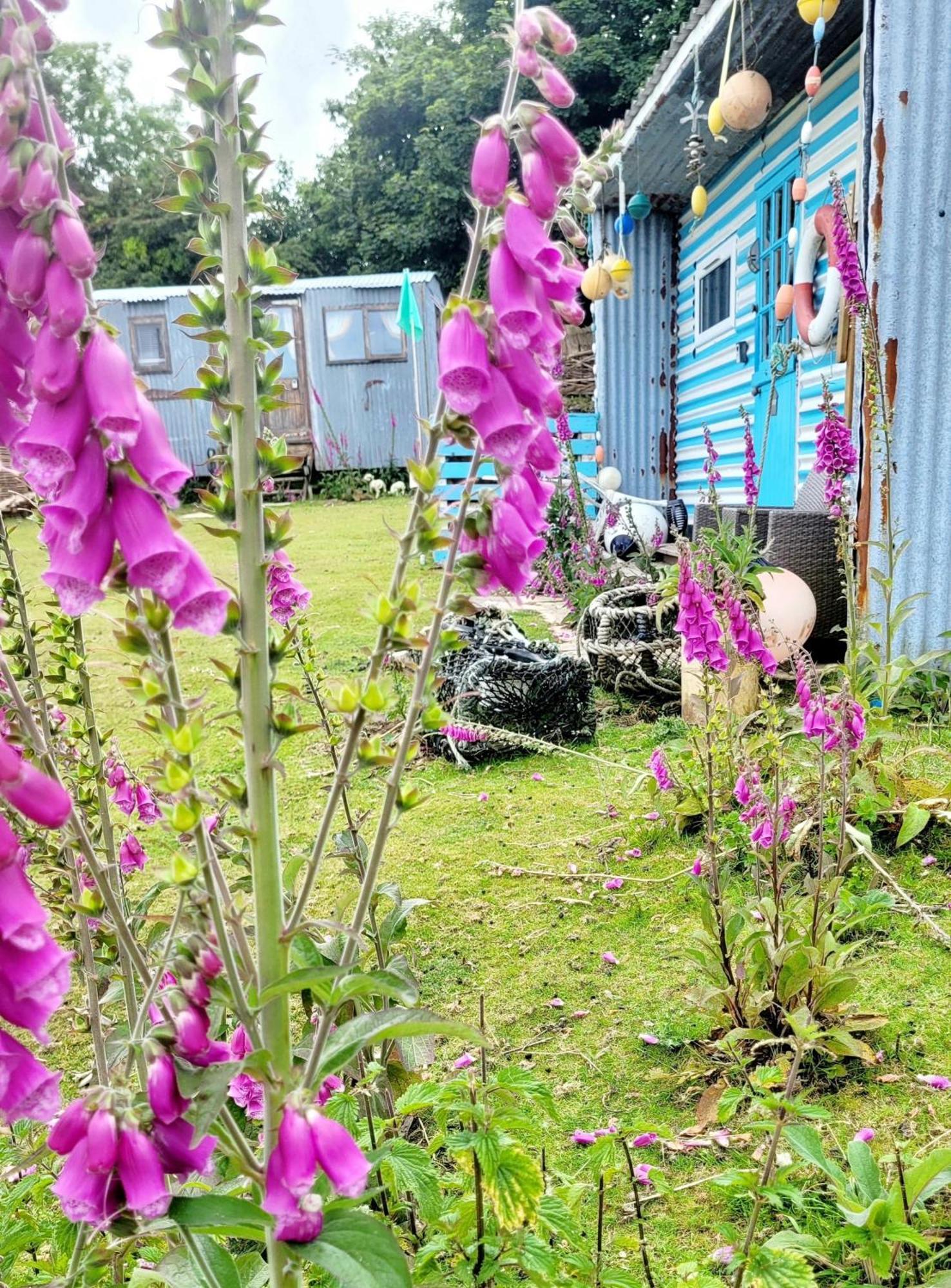 Campsite Treguth Glamping Unique Experience - Themed Huts Saint Day