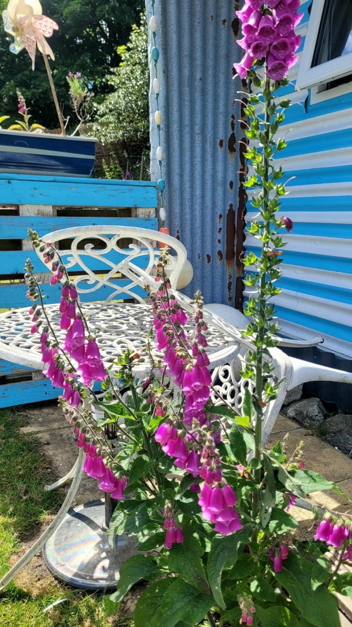 Treguth Glamping Unique Experience - Themed Huts Campsite Saint Day