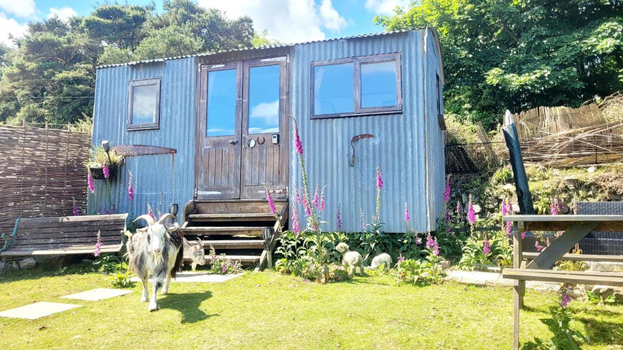 Treguth Glamping Unique Experience - Themed Huts