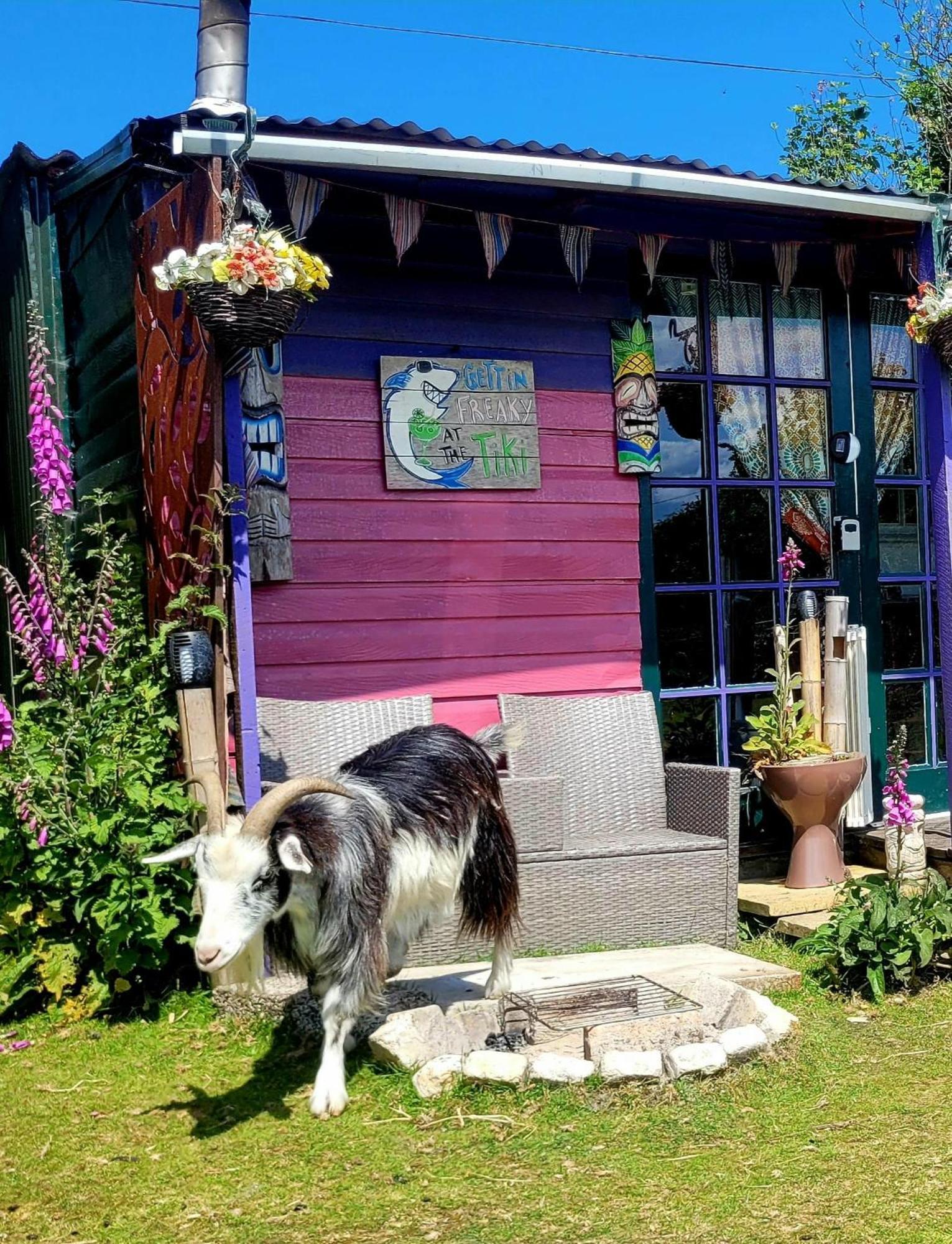 Campsite Treguth Glamping Unique Experience - Themed Huts *