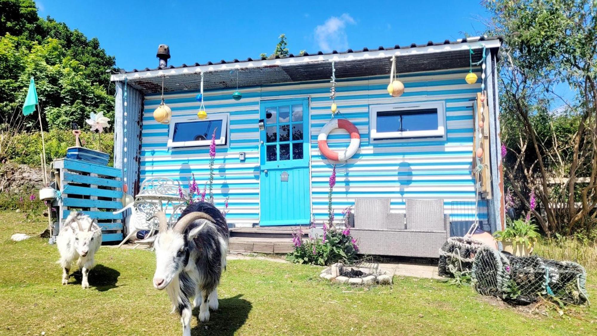 Treguth Glamping Unique Experience - Themed Huts *