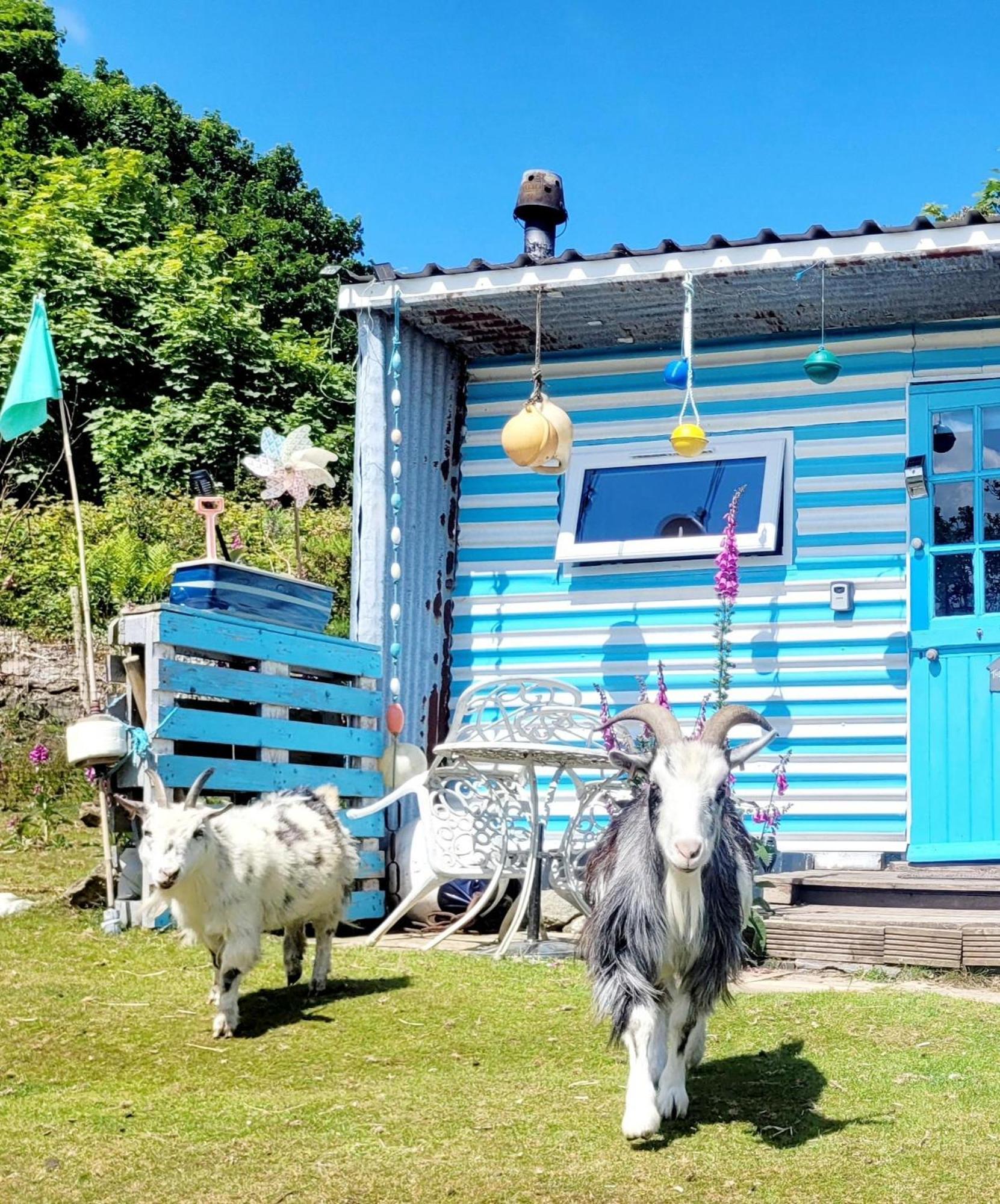 Treguth Glamping Unique Experience - Themed Huts Saint Day