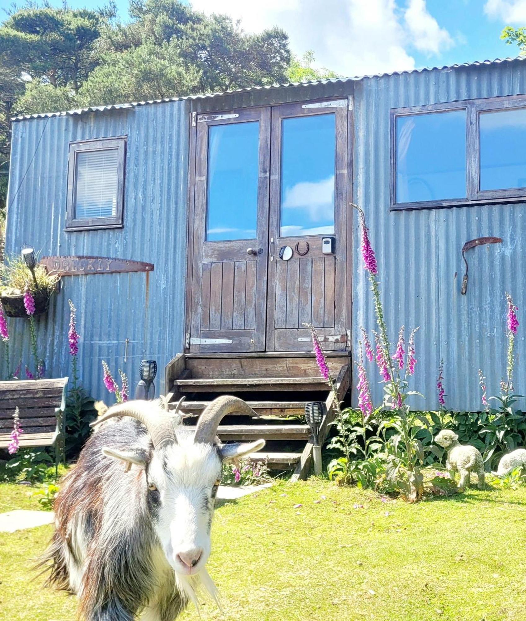 Treguth Glamping Unique Experience - Themed Huts * Saint Day