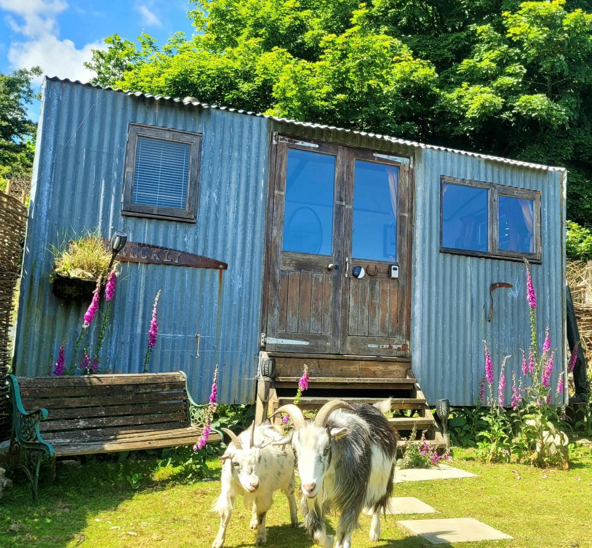 Treguth Glamping Unique Experience - Themed Huts Campsite *