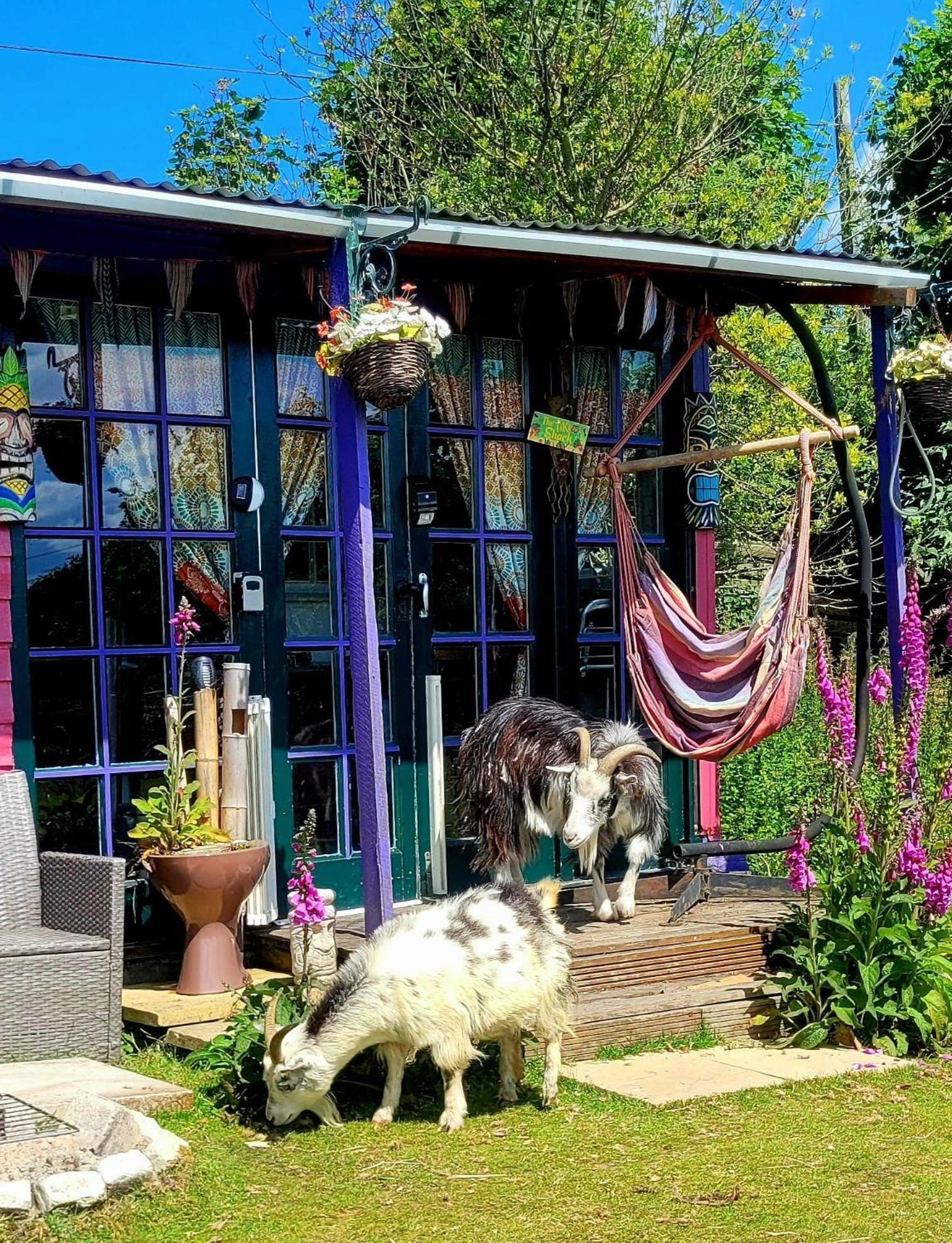 Campsite Treguth Glamping Unique Experience - Themed Huts Saint Day