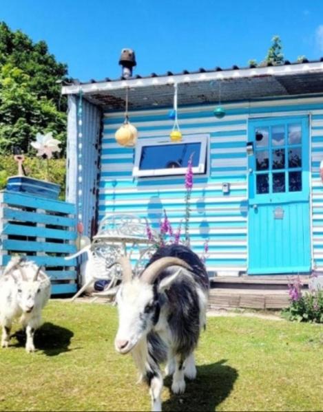 Campsite Treguth Glamping Unique Experience - Themed Huts Saint Day